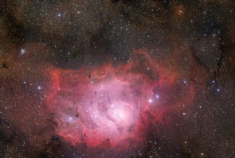 Nebula Gardens